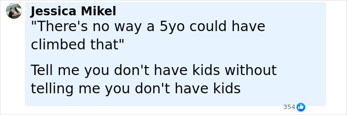 Screenshot of a social media comment doubting how a 5-year-old could have climbed, related to dad saving daughter incident.