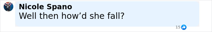 Comment saying Well then how&rsquo;d she fall, related to police breaking silence on viral rumor about dad who saved daughter after cruise ship fall.