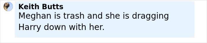 Comment by Keith Butts stating Meghan is trash and dragging Harry down, related to Meghan Markle and Prince Harry trolling.