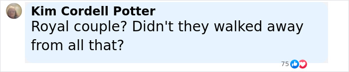 Comment about Meghan Markle and Prince Harry being called out in Family Guy episode, displayed with user profile picture and name.