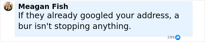 Comment highlighting skepticism about the effectiveness of blurring houses on Google Maps to protect addresses.