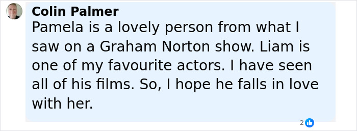 Pamela Anderson and Liam Neeson touching hands and posing together on the red carpet event.