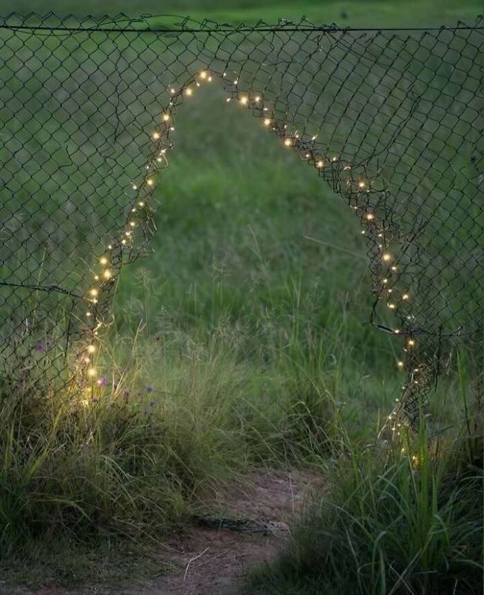 Ripped chain-link fence decorated with string lights in a grassy field, blending trash and culture creatively.