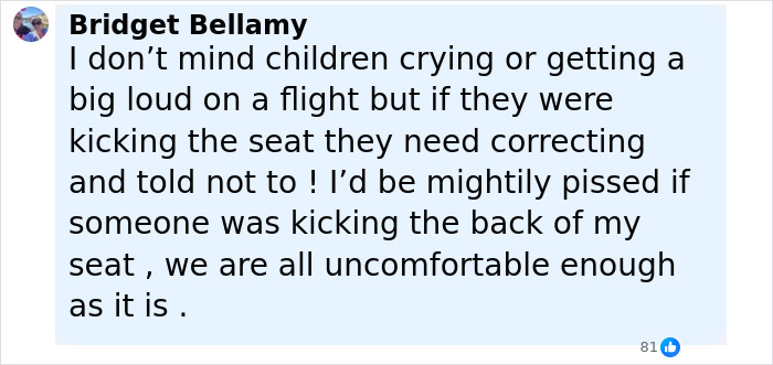 Screenshot of a social media comment discussing passenger behavior on a public flight and seat kicking issues.