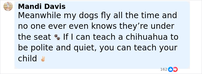 Screenshot of a social media comment about polite dogs flying under the seat, relating to an uptight passenger on a public flight.