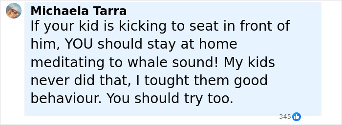 Screenshot of a Facebook comment criticizing a passenger expecting luxury during a public flight, addressing behavior and reality check.