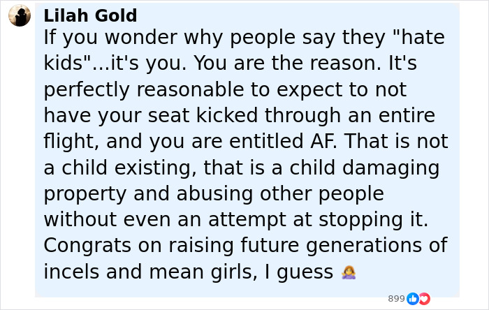 Alt text: Screenshot of a social media comment criticizing entitled passengers tolerating disruptive children on public flights.