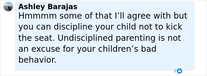 Comment from Ashley Barajas discussing disciplining children and addressing bad behavior on a public flight, reflecting on passenger expectations.