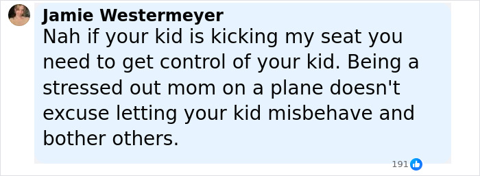 Screenshot of a social media comment criticizing a stressed mom on a public flight for not controlling her misbehaving child.