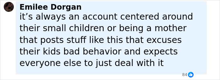 Screenshot of a social media comment criticizing entitled behavior on a public flight, referencing a reality check moment.