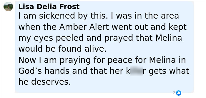User comment expressing distress over the missing 9-year-old girl found deceased and police pointing to report inconsistencies. - 7