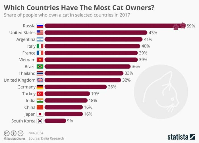 Bar chart showing cat ownership percentages by country, illustrating infographics and data that might change your perspective on things.
