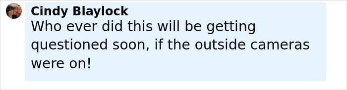 Comment from Cindy Blaylock discussing possible investigation related to horrifying teddy bear covered in apparent human remains.