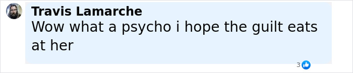 Comment by Travis Lamarche expressing shock and hoping guilt affects 17-year-old girl suspect in parents' slaying case.