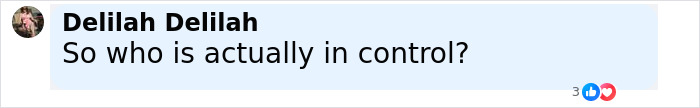 Comment on social media by Delilah Delilah asking who is actually in control, related to Elon Musk's Neuralink brain chip.