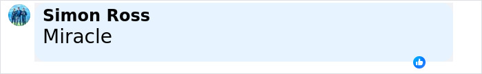 Comment by Simon Ross saying Miracle with a small profile photo and thumbs-up icon, related to Neuralink brain chip.