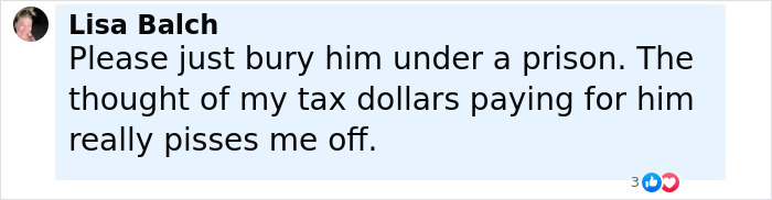 Comment from Lisa Balch expressing anger about taxpayer money funding a prison sentence for a family and dog slayer.