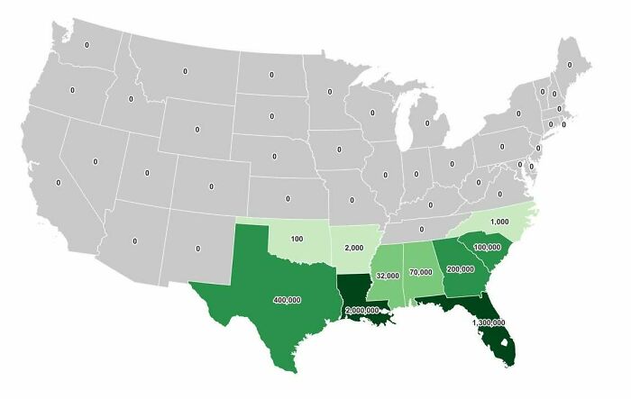 US map infographic showing data distribution with varying numbers highlighted in southern states in green shades.