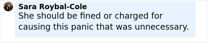 Comment by Sara Roybal-Cole criticizing a passenger who sparked a scare on a flight causing an emergency landing.