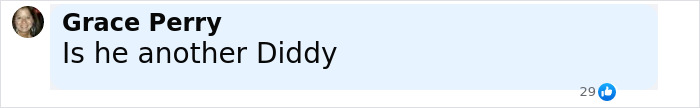 Comment by Grace Perry asking if someone is another Diddy, displayed on social media with 29 likes. Comment by Grace Perry asking if someone is another Diddy, displayed on social media with 29 likes.