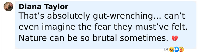 Comment expressing gut-wrenching feelings and imagining the fear experienced by young flood victims.