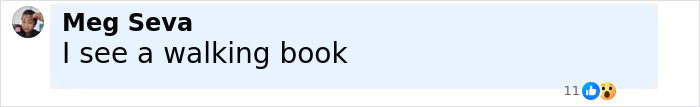 Screenshot of a social media comment reading I see a walking book on a light blue background.