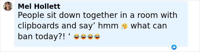 Person named Mel Hollett sharing a social media post about city bans and dark conspiracy concerns online.