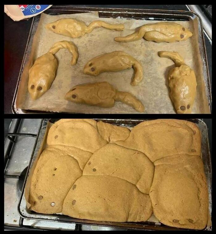 Unintentionally funny baked goods resembling animals showing chaotic results combining trash and culture humor.