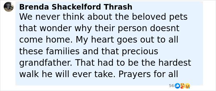 Alt text: 8-year-old's horse walking behind hearse with tiny hat and boots after Camp Mystic tragedy showing loyalty and mourning. - 22