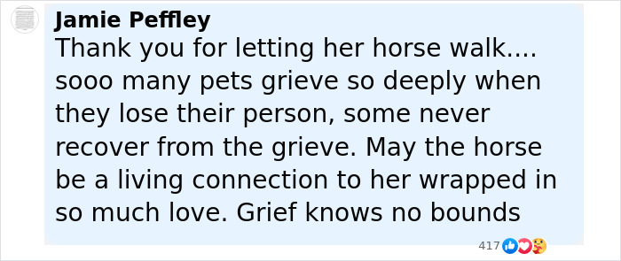 Comment expressing gratitude for a horse walking behind a hearse, highlighting pets' deep grief and lasting connection. - 16