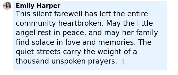 8-year-old's horse walks behind hearse wearing tiny hat and boots in emotional Camp Mystic tragedy farewell. - 28