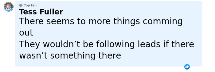 Comment by Tess Fuller stating there seem to be more things coming out about cops arresting top bosses over foul play. Comment by Tess Fuller stating there seem to be more things coming out about cops arresting top bosses over foul play.