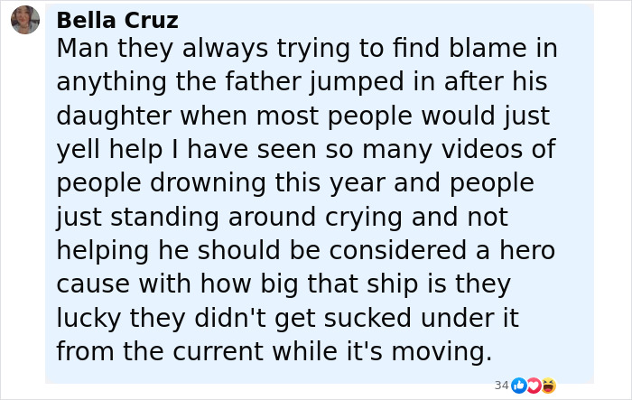 Alt text: Comment discussing blame and heroism after girl's horrifying fall from Disney cruise ship during eyewitness rescue.