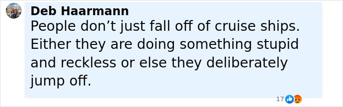 Screenshot of a social media comment discussing a girl's fall from a Disney cruise ship and the blame surrounding the incident.