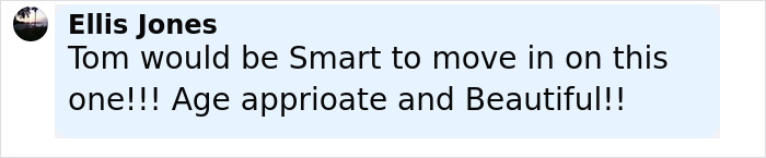Comment by Ellis Jones discussing Tom Brady&rsquo;s potential summer romance with Sof&iacute;a Vergara, sparking funny reactions online.