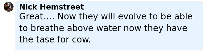 Comment by Nick Hemstreet discussing evolution and cows after scientists drop a cow 1629 meters deep into sea for study.