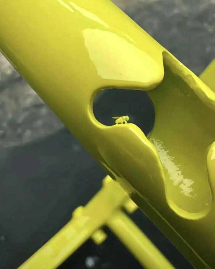 Close-up of a tiny yellow insect perched inside a chipped yellow painted metal object, blending trash and culture chaos.