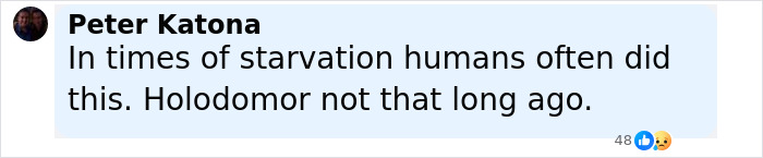 Comment by Peter Katona discussing starvation and a historical famine related to prehistoric ancestors eating toddlers.