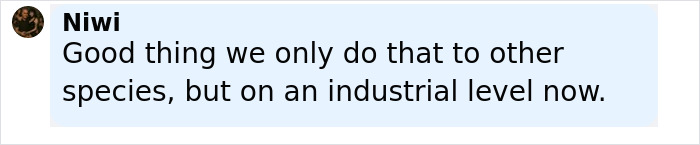Comment by Niwi saying good thing we only do that to other species but on an industrial level now, related to archaeologists discovering gruesome evidence.