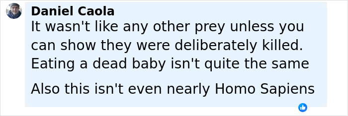 Screenshot of a comment discussing evidence of prehistoric ancestors eating toddlers as prey and questioning deliberate killing.