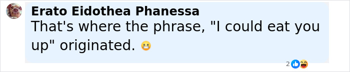 Comment about the phrase origin, displayed in a social media post, related to archaeologists discovering prehistoric ancestors eating toddlers.