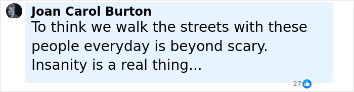 Comment by Joan Carol Burton expressing fear about people on the streets related to Virginia councilman set on fire attack.