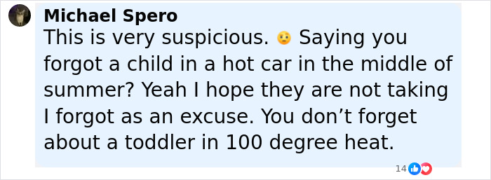 Comment expressing suspicion about a child forgotten in a hot car during extreme summer heat by a social worker. - 27