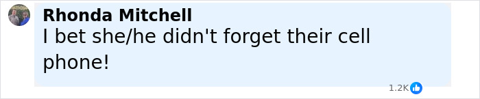 Comment from Rhonda Mitchell expressing sarcasm about forgetting a cell phone in relation to a 3-year-old boy in temporary foster care left in a hot car. - 17