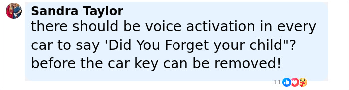 Screenshot of a social media comment discussing child safety in cars after a 3-year-old boy in foster care passed away. - 25