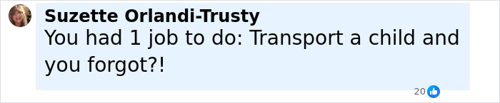 Screenshot of a social media comment criticizing a social worker after a 3-year-old boy in foster care was left in a hot car. - 26