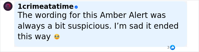 Social media comment expressing suspicion about Amber Alert wording in missing 9-year-old girl police case.
