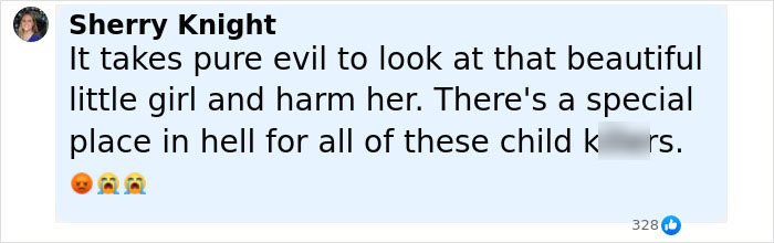 Comment from Sherry Knight expressing outrage over harm to a young girl in a case with police noting inconsistencies in father&rsquo;s report.