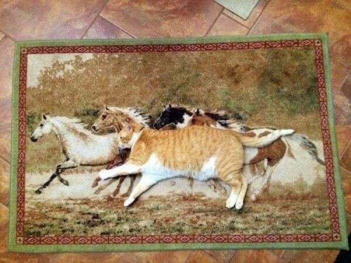 Orange and white cat blending with running horse pattern on a decorative rug, combining trash and culture humorously.