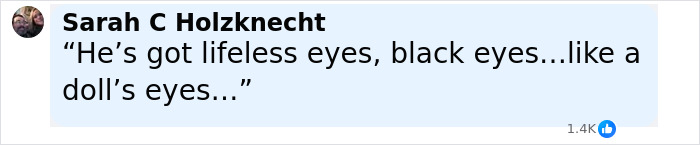 Facebook comment by Sarah C Holzknecht describing a person’s lifeless black eyes like a doll’s eyes, relating to Bryan Kohberger crime details. - 12